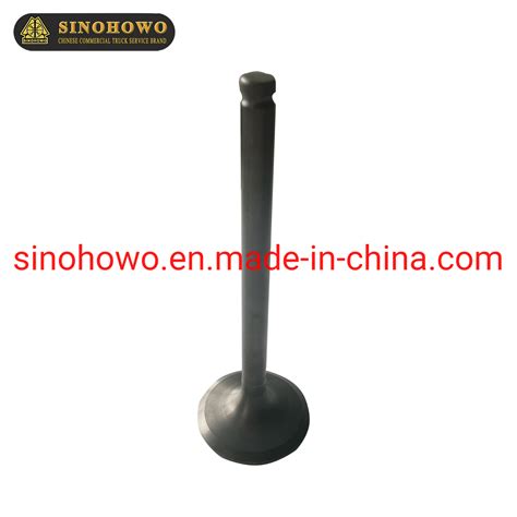 Vg Good Qualty Intake Valve Used For Sinotruk Howo Trucks