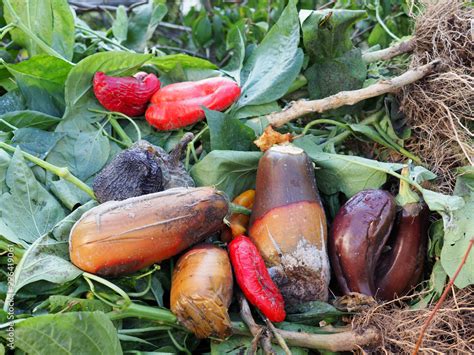 rotten vegetables