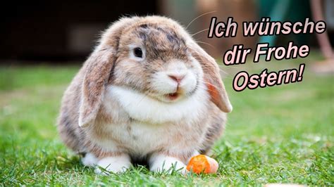 Frohe Ostern Ostergr E Und Osterw Nsche Fr Hliche Ostertage