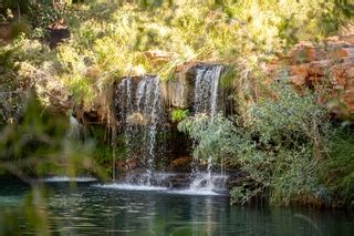 Fern Pool Karijini National Park Point Of Interest At Book At