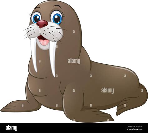 Vector Illustration Of Cute Walrus Cartoon Stock Vector Image And Art Alamy