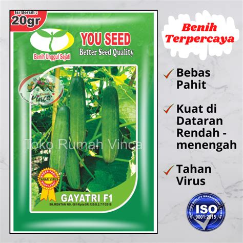 Benih Bibit Timun Lalap Tahan Virus GAYATRI F1 20g 800 Butir You Seed