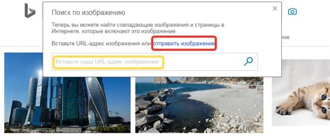 Поиск по фото или картинке в Bing
