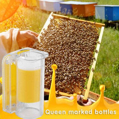 Beekeeping - Queen Bee Marking