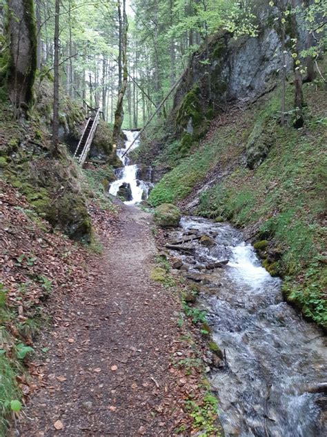 Hohenberg Hofamt Finsterholz Wasserf Lle Bergfex Wanderung