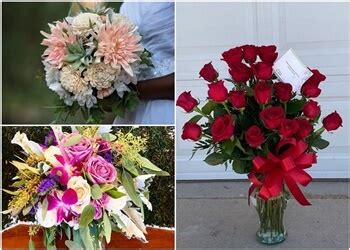 3 Best Florists in El Paso, TX - Expert Recommendations