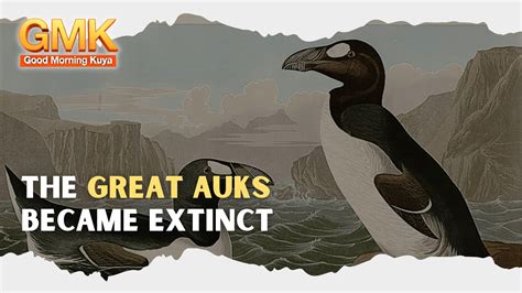 The Great Auks Became Extinct Today In History Youtube