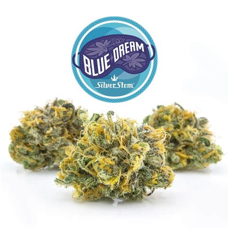 Blue Dream Strain Review Extremely Popular And Incredibly Balanced