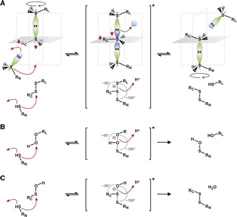 Principles Of Thiol Dependent Sn Reactions A Thioldisulfide