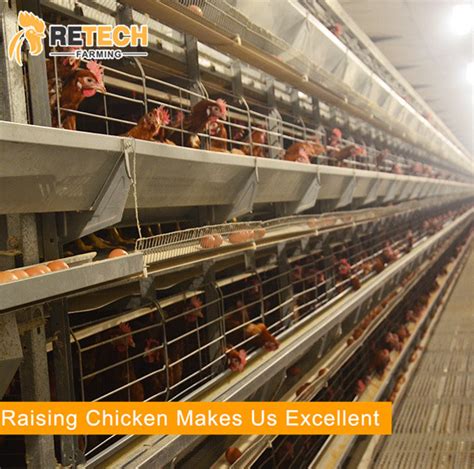 Chicken Layer Battery Cage For Tanzania Poultry Farm 20000 Birds China Poultry Farm Equipment