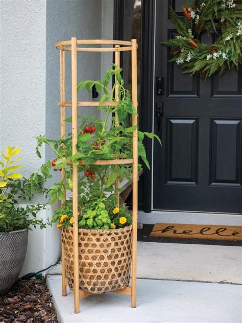 Elevated Bamboo Tomato Planter And Trellis