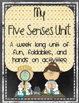 My Five Senses Unit By Valerie Steinhardt Teachers Pay Teachers