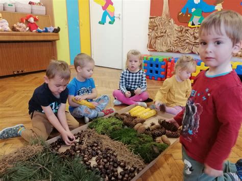 Projekt edukacyjny Gramy zmysłami ścieżka sensoryczna zadanie 1