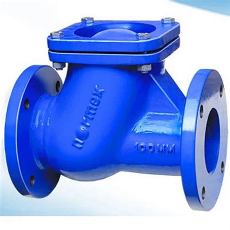 Normex Non Return Valve At Rs Piece Affinity