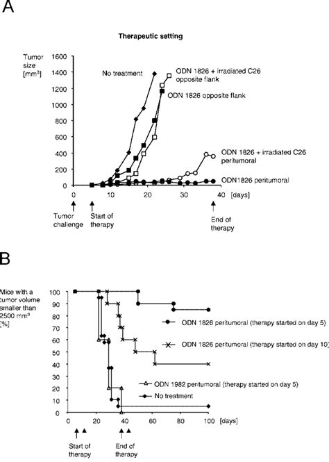 Treatment Of Established Tumors With Cpg Odn A Mice Were Challenged