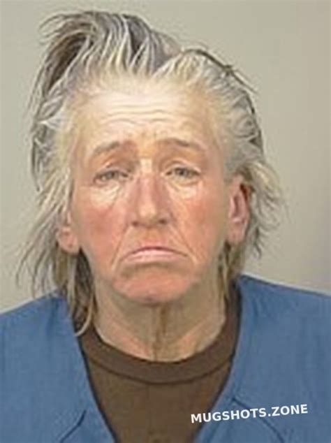 Hurley Julie Ann Dane County Mugshots Zone