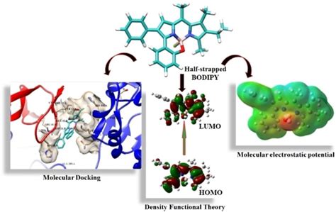 Synthesis Molecular Docking And Dft Calculation Of A Halfstrapped