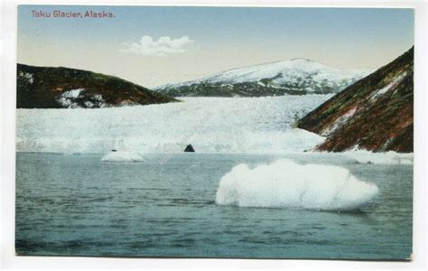 Alaska : Taku Glacier Alaska postcard | Alaska glaciers, Alaska, Alaska usa