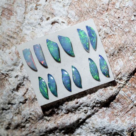 Cts Shell Fossil Pairs Freeform Doublet Opals