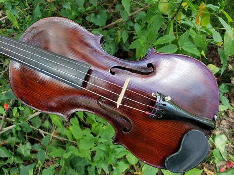 Antique Violin 44 Bohemian Mid To Late 1800s Antique Price Guide