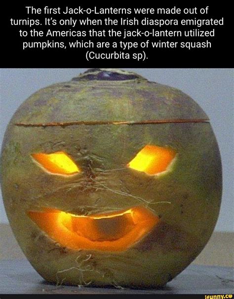 The First Jack O Lanterns Were Made Out Of Turnips Its Only When The Irish Diaspora Emigrated