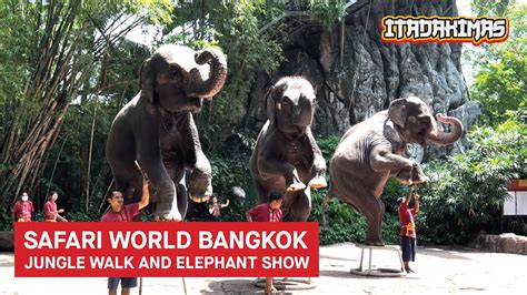 AMAZING ELEPHANT SHOW At Safari World Bangkok Thailand YouTube