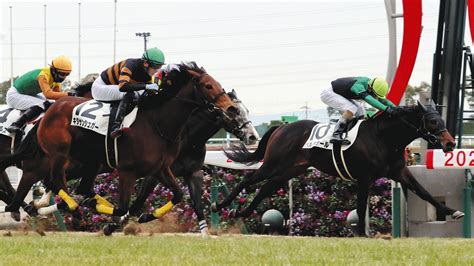 【中京6r新馬戦】父はキタサンブラック、7番人気のキタサンシュガーがデビュー戦勝利：中日スポーツ・東京中日スポーツ