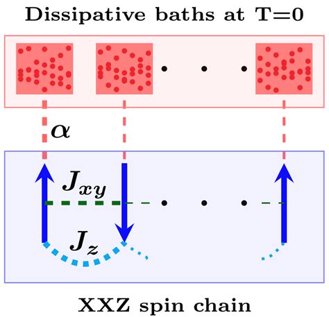 Schematic Representation Of The Microscopic System An One Dimensional