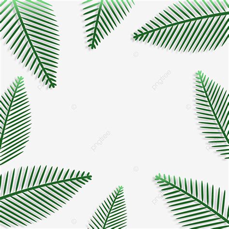 Palm Leaf Border Png Transparent Palm Leaf Border Leaf Edge Paper