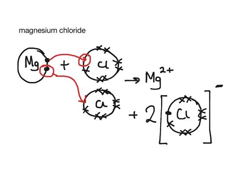 What Do Dot And Cross Diagrams Show