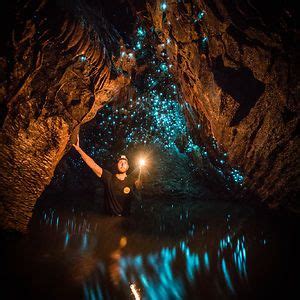 Glow Worms Turn New Zealand Cave Into Starry Night And I Spent Past