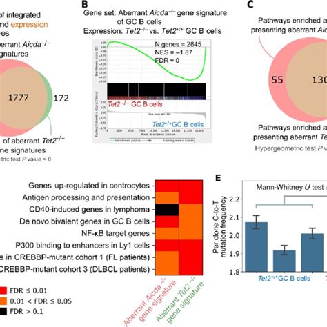 Tet2 Deficient Gc B Cells Manifest Aid Loss Of Function Signature A