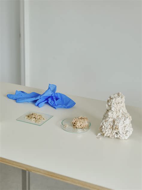 Mycelium (Gallery) – Future Materials Bank