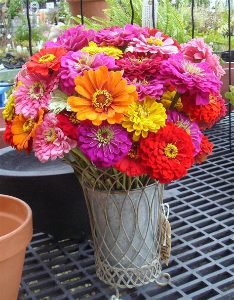 Zinnia Flower Bouquet|http://refreshrose.blogspot.com/