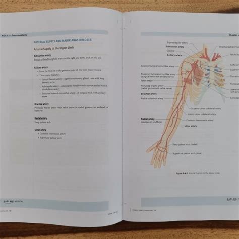 Jual Kaplan Usmle Step 1 Lecture Notes 2020 7 Books Set Shopee