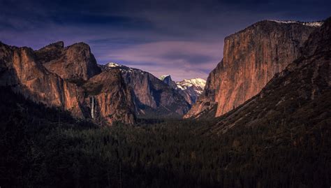 X Nature Landscape Mountain Trees Forest Yosemite National