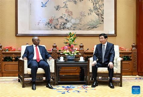 Focac China S Top Political Advisor Meets Guinea Bissau President Xinhua