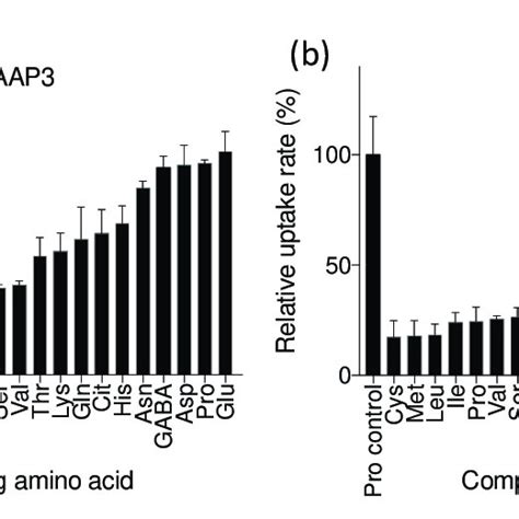 Effects Of Competing Amino Acids To Claap3 And Claap6 Mediated Amino