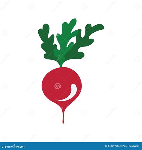 Radishes Icon Stock Vector Illustration Of Farm Background 143517656