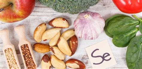 Selenio Serico Para Que Serve - Selênio: veja quais alimentos são ricos neste elemento e para que serve ...