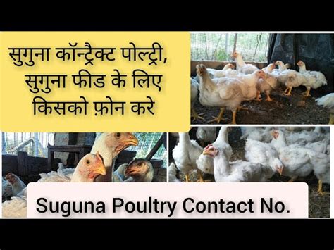 Suguna Chicken Farm