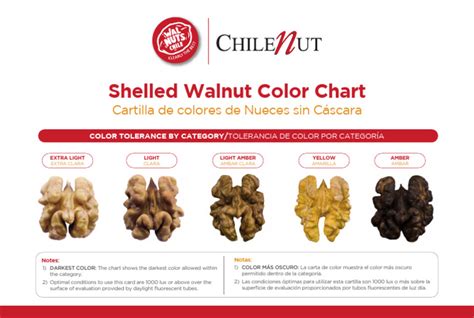 Walnut Color Chart Chilenut 210324 Pdf