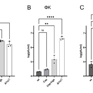 Cp Expression Reduces Phage Absorption Plaque Forming Units Pfu