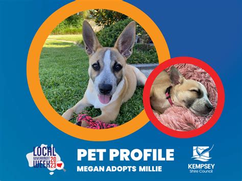 Pet Adoption Profile Millie Saved From Unwanted Litter Mirage News