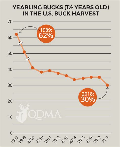 Record Low Yearling Buck Harvest QDMAs 2020 Whitetail Report