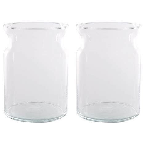 Hakbijl Glass Set Van 2x Stuks Transparante Home Basics Vaas Vazen Van