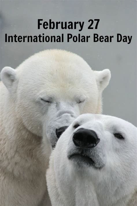 When Is National Polar Bear Day 2024 Brynne Gretchen