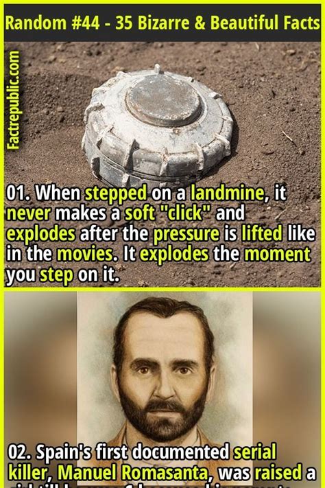 Random Fact Sheet 84 35 Mind Blowing Facts To Knock Your Socks Off Fact