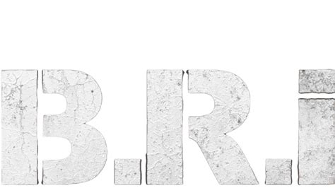 B.R.I en streaming direct et replay sur CANAL+ | myCANAL