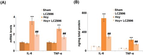 LCZ696 Inhibited Pro Inflammatory Cytokines Secretions In Hcy Mice